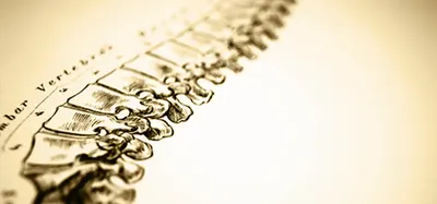 Gabinet Rehabilitacji Leczniczej i Pourazowej Barbara Wija